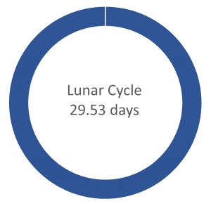 Lunar_Cycle
