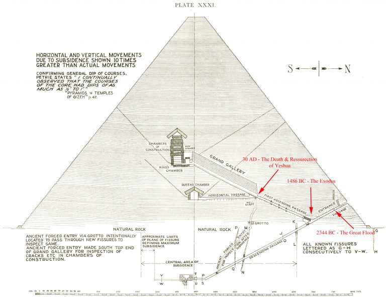 Patterns of evidence the exodus william struse